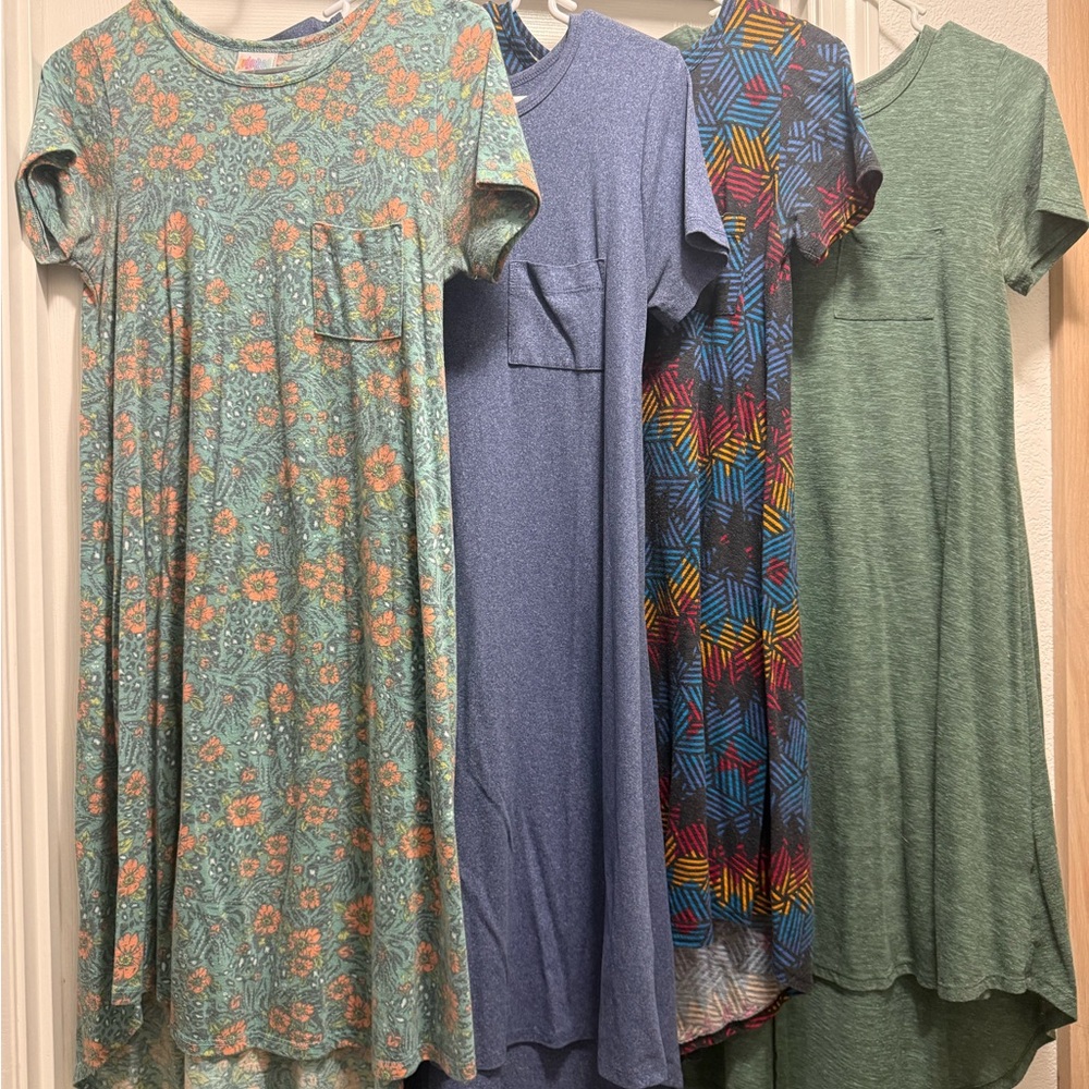 LuLaRoe Women's dresses in Floral, Blue, Green, and Multicolor